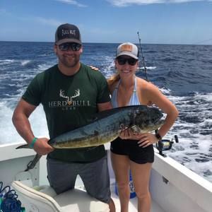 Meet your Posher, Billy